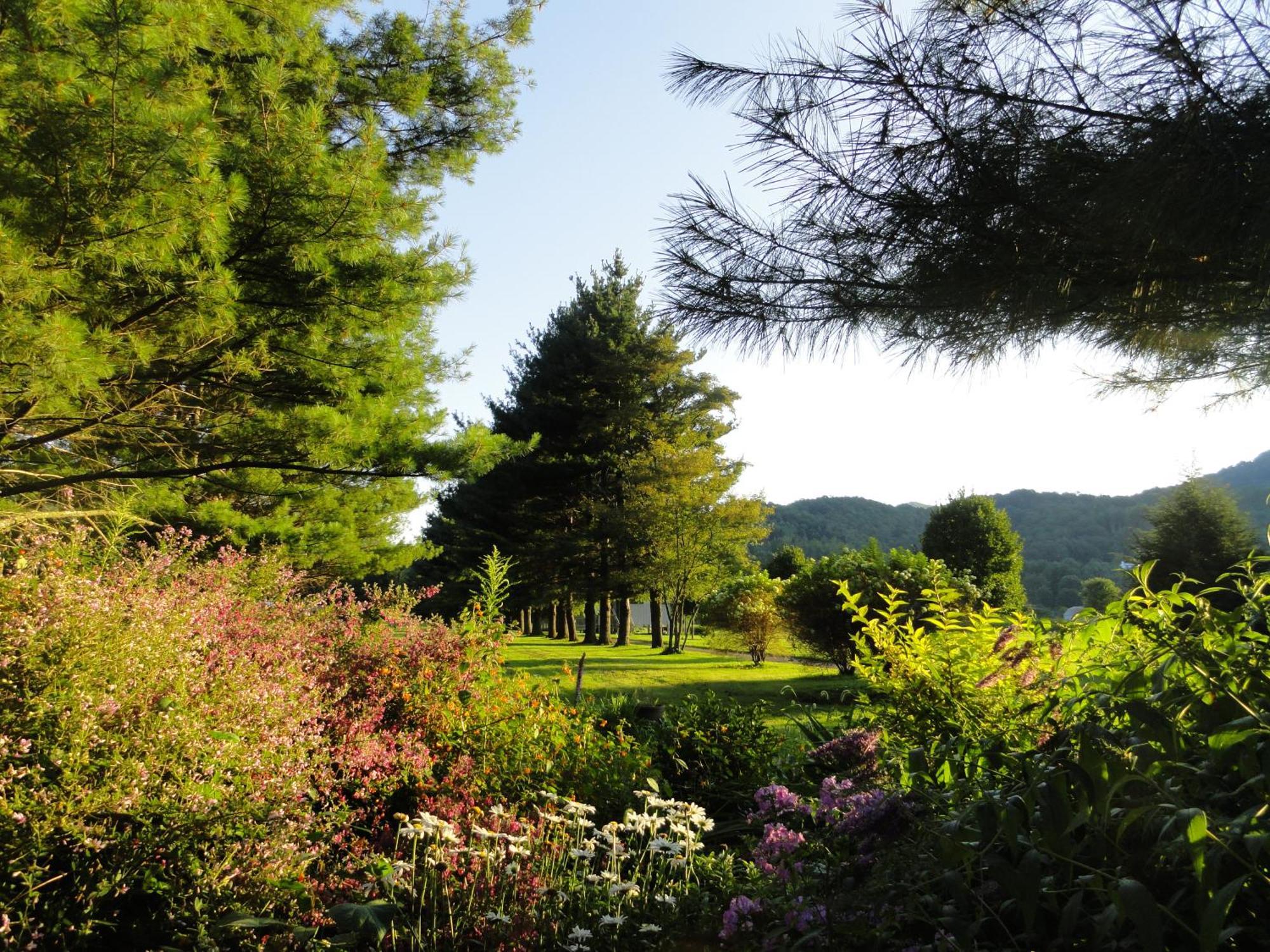 Beech Manor By Vci Real Estate Services Beech Mountain Eksteriør billede